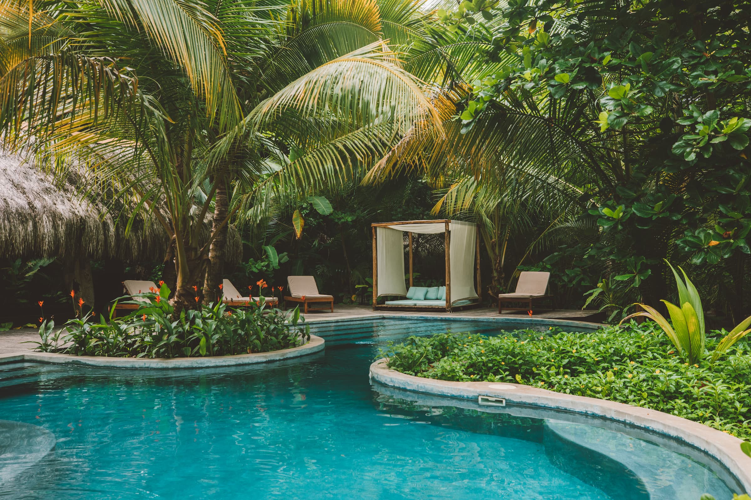 📸 Cayuga Collection — Giulia Gartner